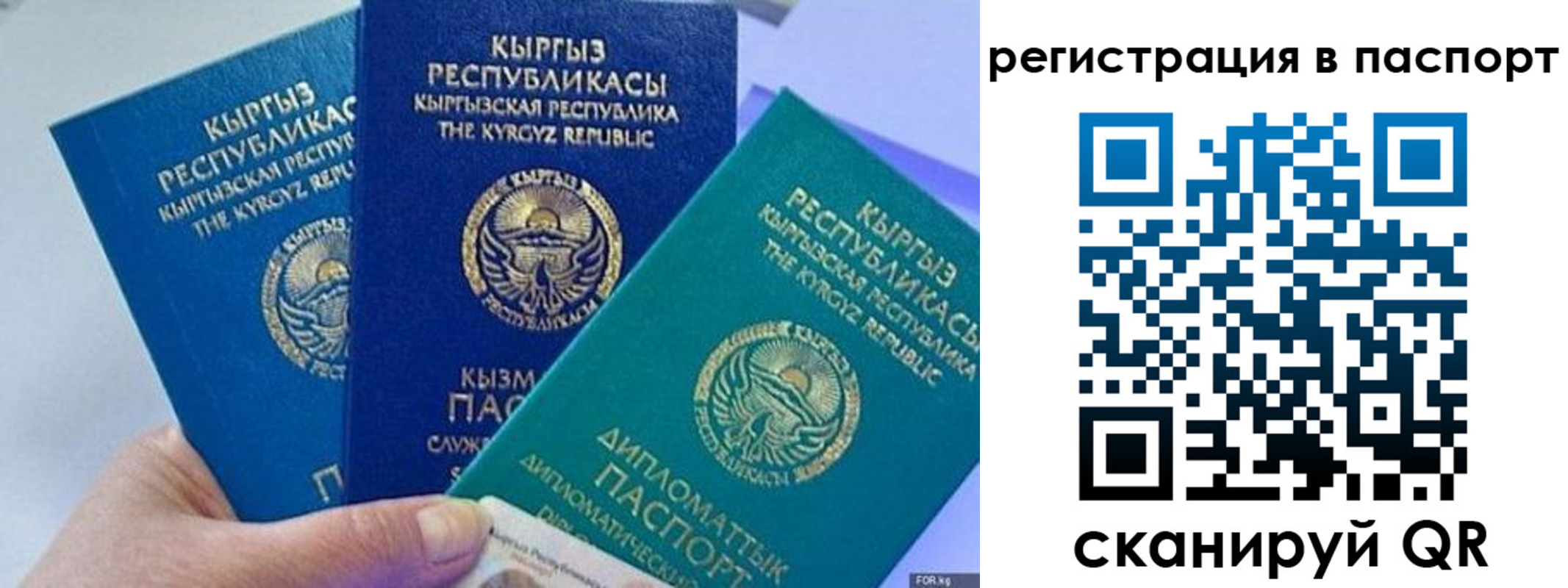 прописка 2025 в Домодедово