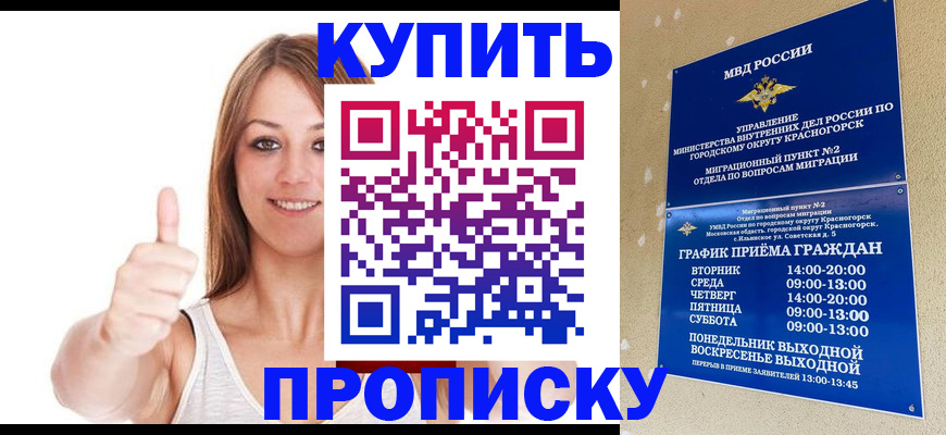 временная регистрация надежно в Домодедово